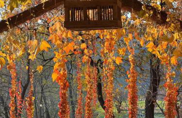 Corte D'Aibo - Photo 27