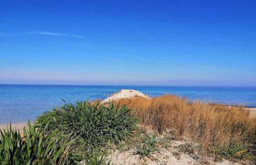 Domaine des Palmiers - Foto 24