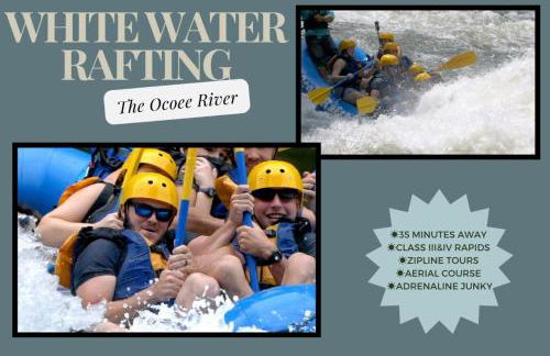 Cozy North GA Cabin 3BR3BA, Fire Pit & Game Rm - Foto 49