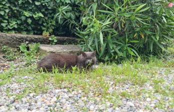 Da Ersilia - Foto 66