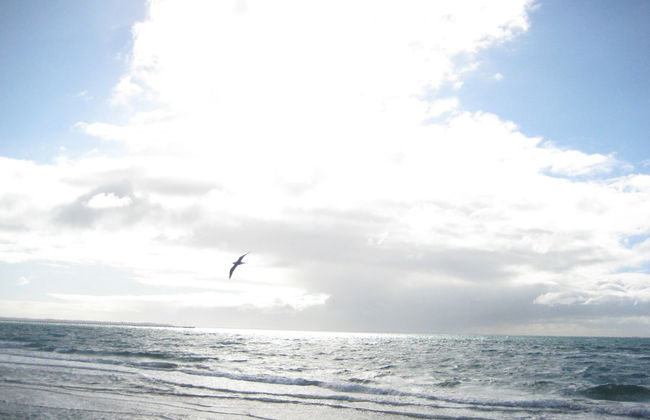 Beachwalk Cottage - Foto 51