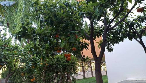 Villa MALENA Nature and Sea View - Foto 4