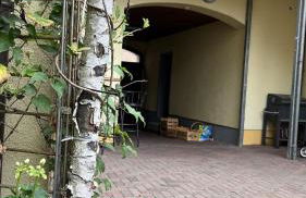 Apartment Marktgeflüster - Foto 12