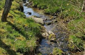 Ferienhaus Am alten Fachwerk - Foto 42