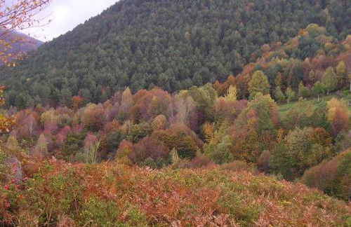 Preciosa cabaña pasiega restaurada - Foto 28