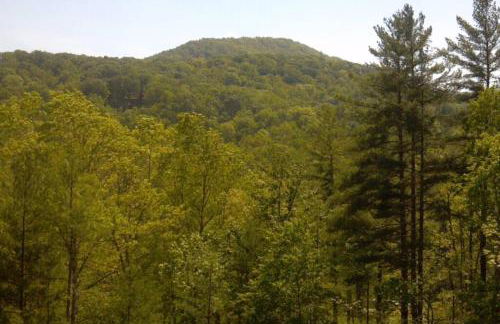 Cherokee Dream Mountain Lodge - Foto 56