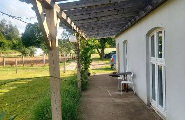 Happy Horse Sosnowa Góra - Foto 8