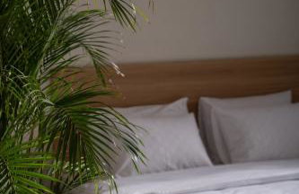 FOS Luxury Suites - Photo 23