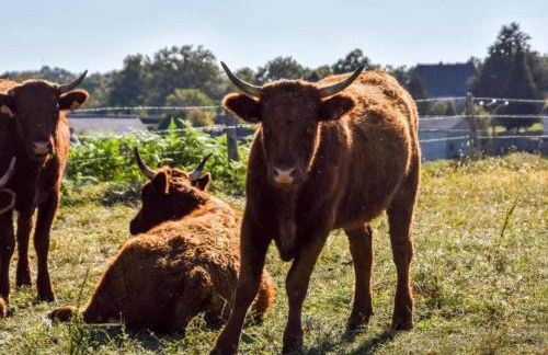 Calvinet Countryside Escape - Foto 25