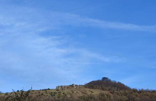 Kaiserberg-Apartments "Auf dem Hohenstaufen" - Foto 28