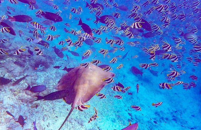 La Due Thulusdhoo - Foto 20