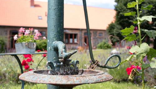 Ferienwohnungen Hof Luisenau - Photo 3