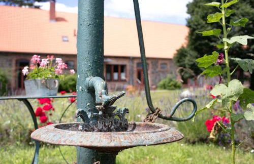 Ferienwohnungen Hof Luisenau - Photo 3