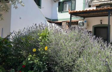 Elea Houses - Foto 16