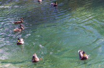 Apartment Mira - Foto 22