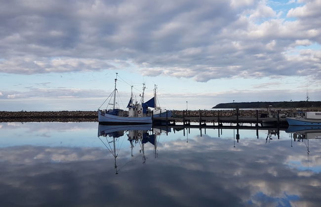 "Golubinka" - 500m from the sea - Foto 6