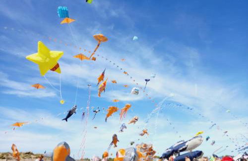 Maison de vacances - 4 chambres - Portiragnes-Plage - Foto 23