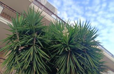 Beb dragonara - Foto 56