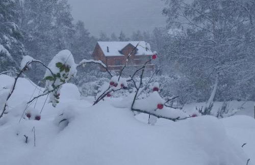Chalet bois au milieu des Pyrénées - Foto 1