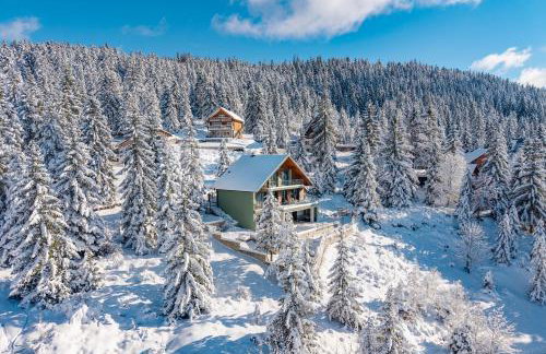 Villa Stella Verde - Wellness Villa with a swimming pool, hot tub and sauna - Foto 4