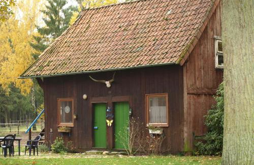 Reiterhof Winandy - Foto 3