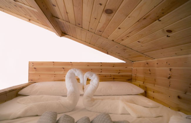 Captain Ikaros - Foto 6