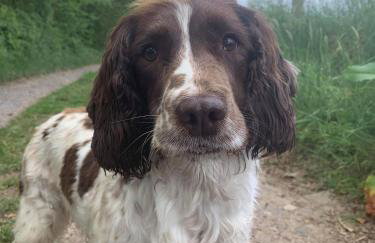 Fleet View - Foto 51