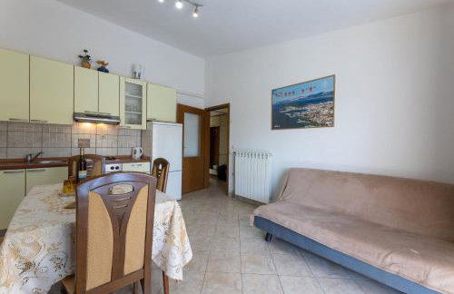 Apartments Ivo - Photo 13