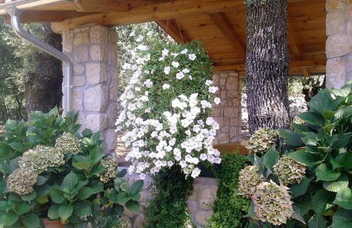 Apartments Barbara - Photo 52