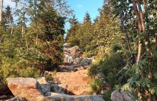 Welcoming Chalet Near Forest in Rohrnbach - Foto 56