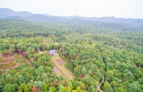 Jewel of the Woods - Foto 44