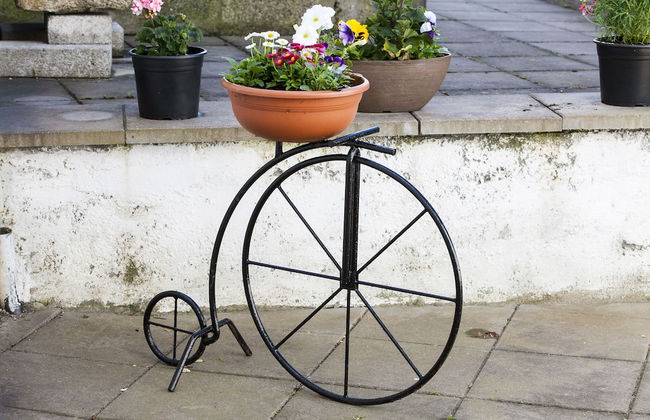 Dublin Vacation Rentals - Photo 59