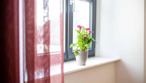 Nordwald Space - Foto 4