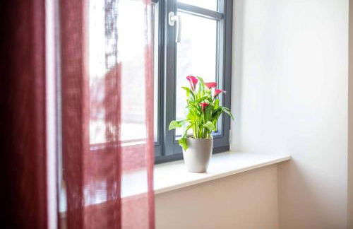 Nordwald Space - Foto 4