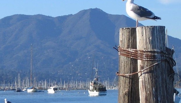 Sausalito Ferry from Pier 41, San Francisco - Foto 2