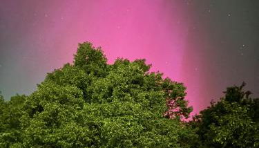 Forsthaus Neudorf - Gartenblick - Foto 2