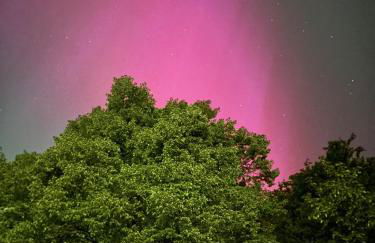 Forsthaus Neudorf - Gartenblick - Foto 2