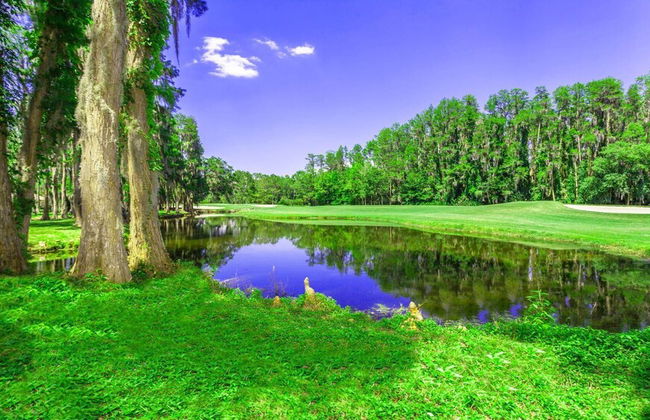 7 Room Saddlebrook Golf SPA Villa 5BR 4BA - Photo 16