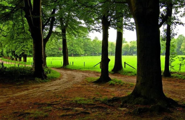 Holiday Home With Private Terrace - Foto 31