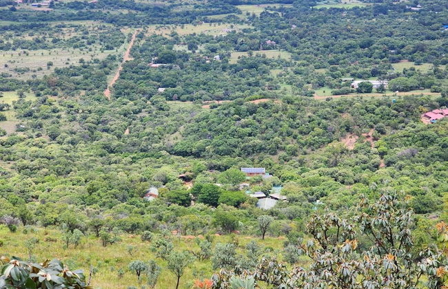 Boshoffville Family Farm - Foto 45