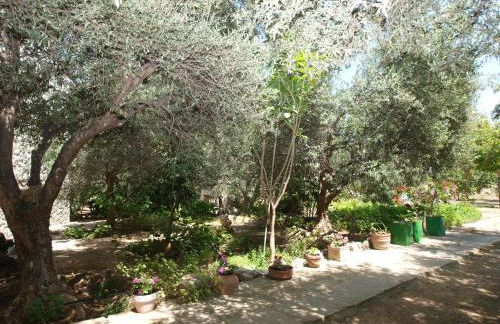 Gerolakos Country Houses - Photo 17