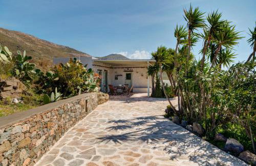 MEGAS GIALOS HARMONY - Foto 77