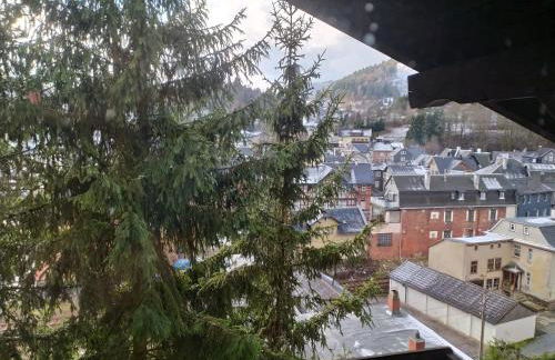 Ferienwohnung Steinachblick - Photo 18