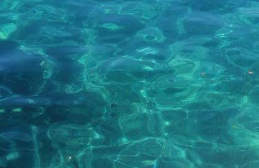 Villa Giulia - Foto 54