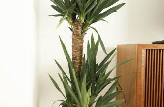 2Stay Porto - Foto 16