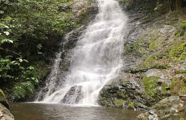Excursion aux Farallones de Cali et El Topacio - Photo 5