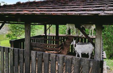 Hospedagem Zilz - Foto 8