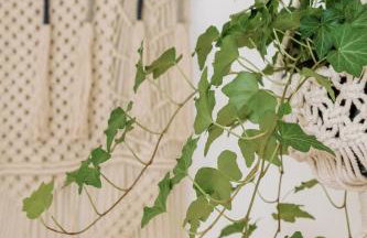 Serene Silver Lake 1 bedroom 1 bathroom Back house With Private Backyard - Photo 48