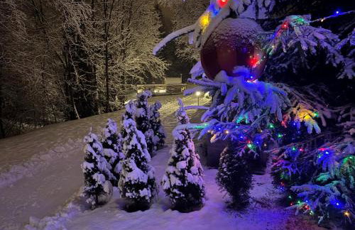 Apartament z prywatną wanną z hydromasażem - U Parów - Foto 50