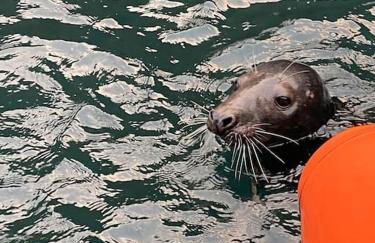 Charming coastal cottage - pet friendly! - Photo 34